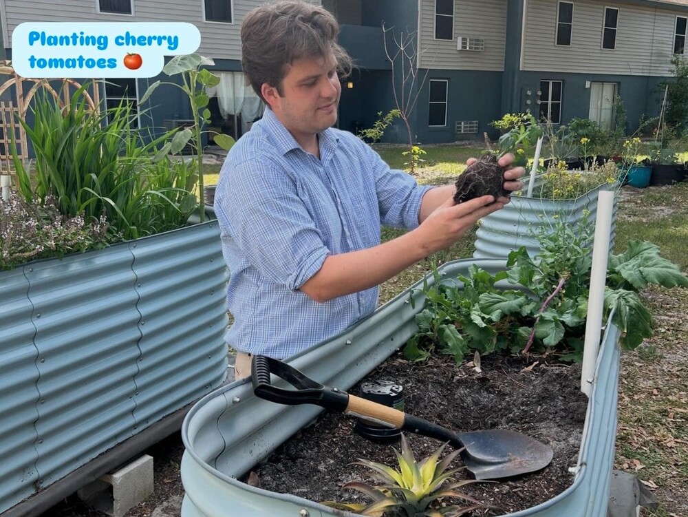 A man planting cherry tomatoes in the garden.