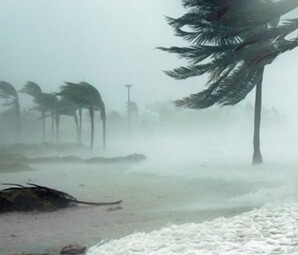 A hurricane storm blowing trees around on a beach.