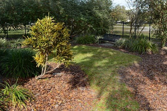 The garden at Tranquil Terrace.