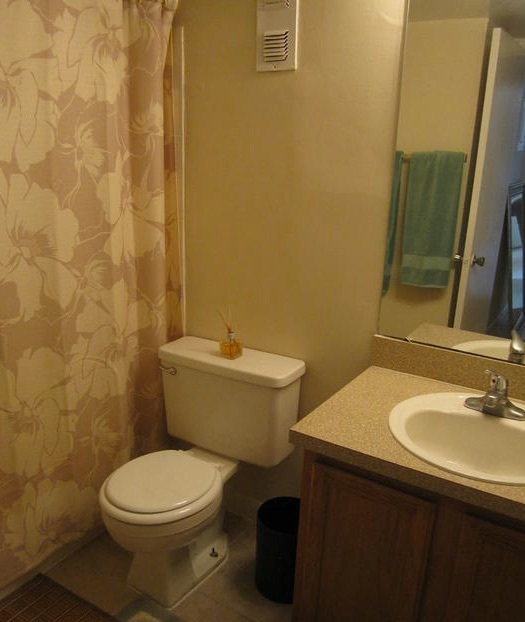 The bathroom in the two-bedroom rental features a shower with the curtain pulled closed and a clean toilet and vanity. 