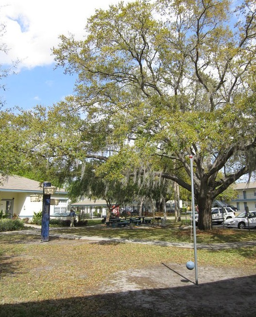 A tether ball game and a basket ball goal are outside near some picnic tables. 