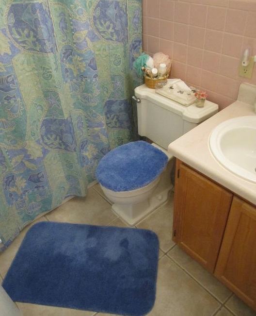 The shower curtain is pulled closed and there is a variety of showering items sitting on the back of the toilet in the bathroom of the one-bedroom rental. 