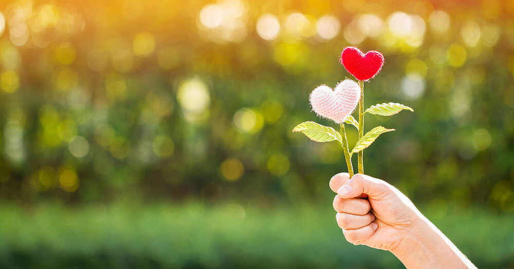 An individual holding two fake flowers shaped as hearts.