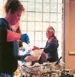 Lady serving food to a resident.